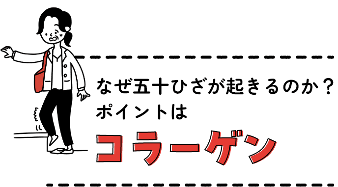 なぜ五十ひざが起きるのか？ポイントはコラーゲン