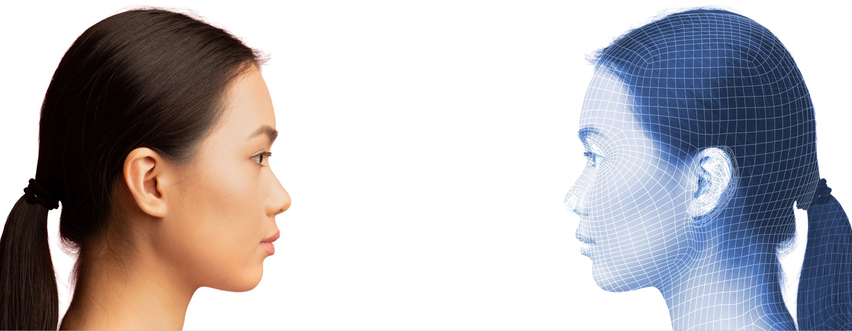 メインビジュアル背景