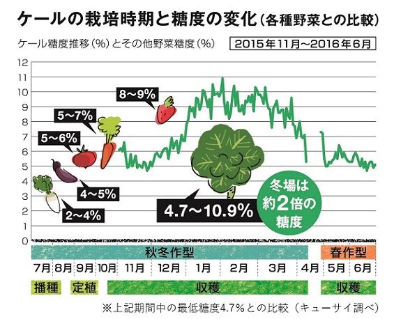 冬越しのプレミアムな甘さをお届け 国産ケール100 季節限定 数量限定 Kale De Kale 発売 ニュース キューサイ 企業サイト