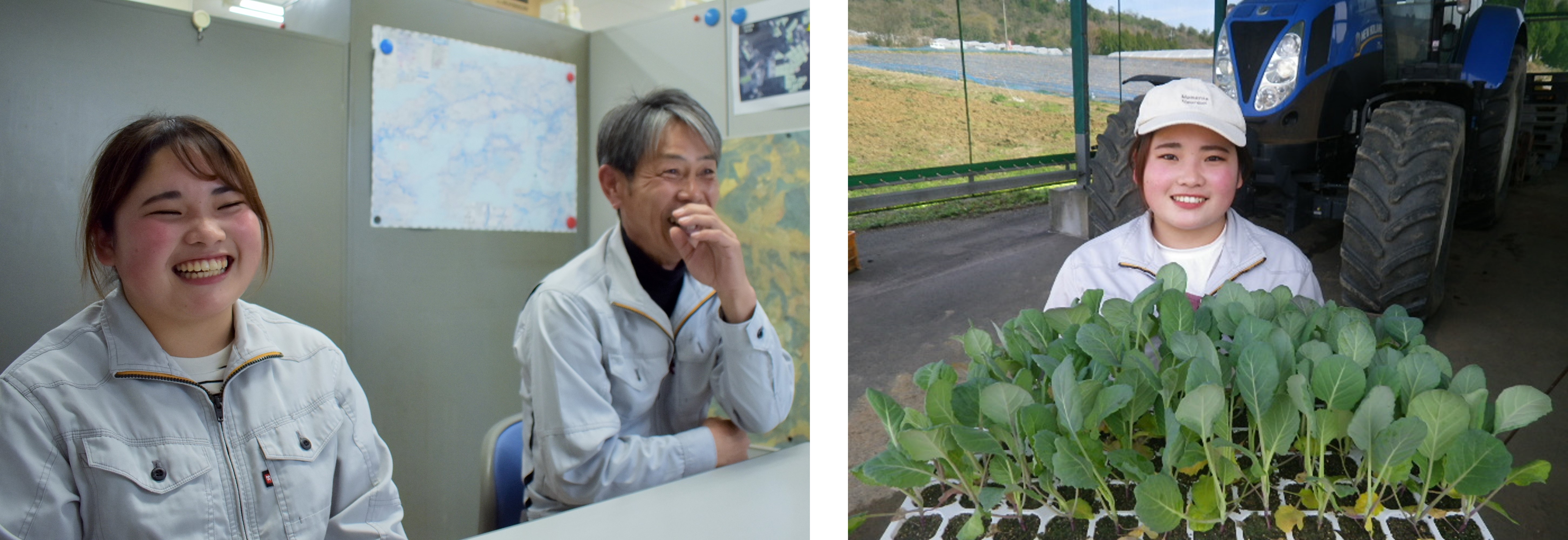 年間約25万本の苗を育てる 育種 育苗のエキスパート 種と苗から農薬 化学肥料不使用のこだわりのケールづくりとは ニュース キューサイ 企業サイト