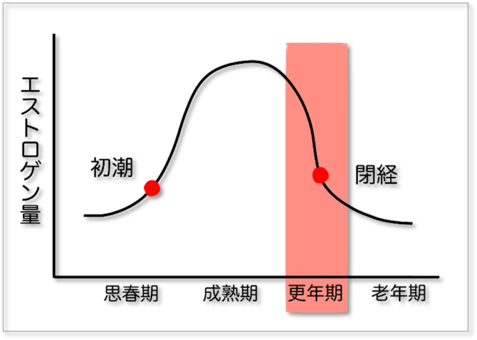 エストロゲン量の波線グラフ