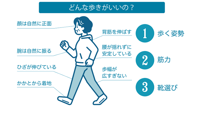 どんな歩き方がいいのかポイント❶歩く姿勢、❷筋力、❸靴選びが記載されているイラスト