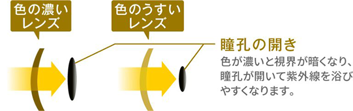 サングラスの色の違いにより瞳孔の開きを表したイラスト