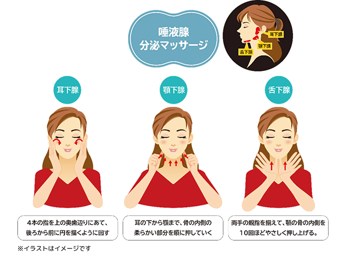 唾液腺分泌マッサージ。耳下腺、4本の指を上の奥歯辺りにあて、後ろから前に円を描くように回す。顎下腺、耳の下から顎まで、骨の内側の柔らかい部分を順に押していく。舌下腺、両手の親指を揃えて、顎の骨の内側を10回ほどやさしく押し上げる。