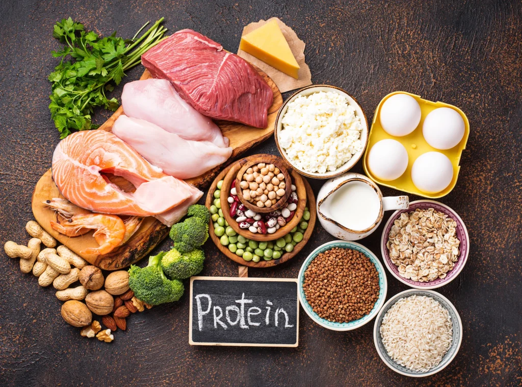 たんぱく質が摂取できる食品の画像