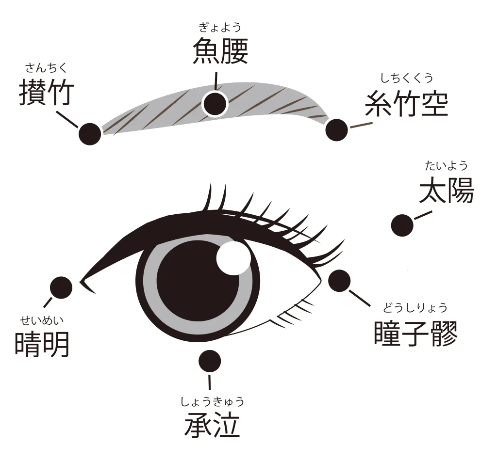 様々な目のツボを示したイラスト