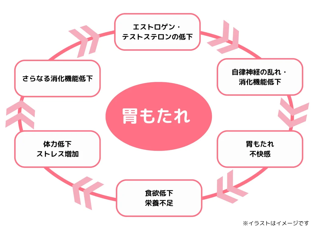 胃もたれの仕組みの図